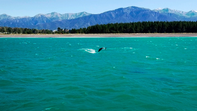 Madrileños por el Mundo visita Nueva Zelanda