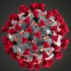 El Reino Unido identifica una "nueva variante" del coronavirus que se propaga con gran rapidez