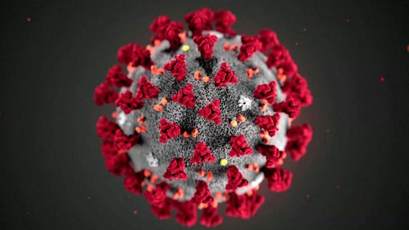 Representación gráfica del coronavirus SARS Cov-2