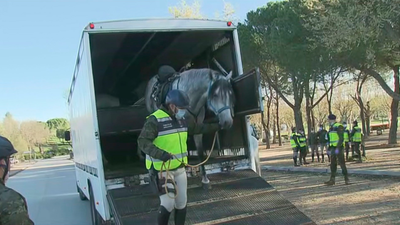 La Guardia Real patrulla a caballo y a pie en Madrid y colabora en la desinfección de residencias