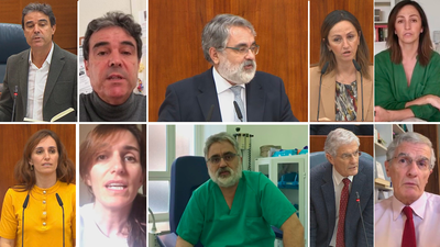 Cinco diputados de la Asamblea de Madrid vuelven a su profesión de médicos en las UCIs o Ifema para ayudar