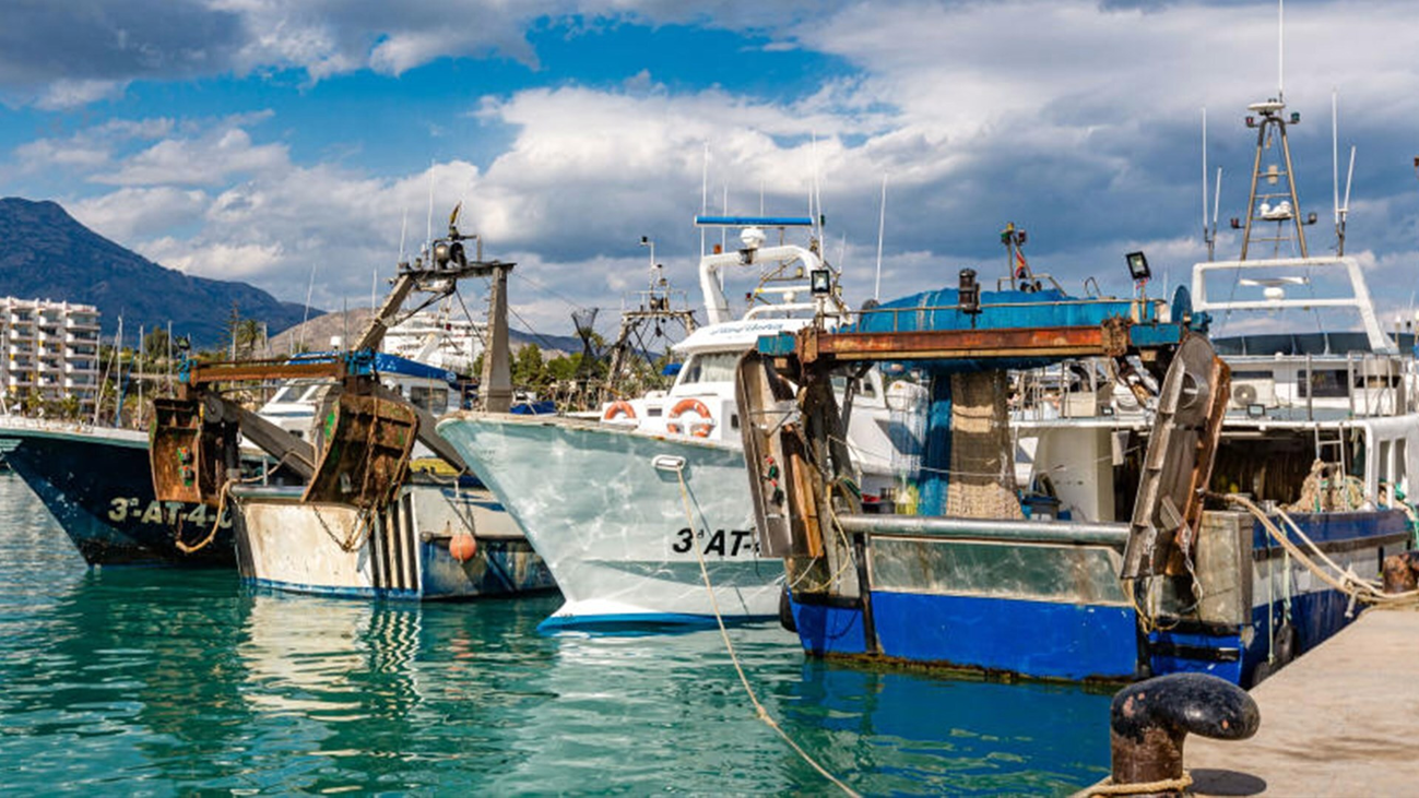 El coronavirus hunde las ventas y golpea a más de 30.000 pescadores