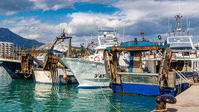 El coronavirus hunde las ventas y golpea a más de 30.000 pescadores