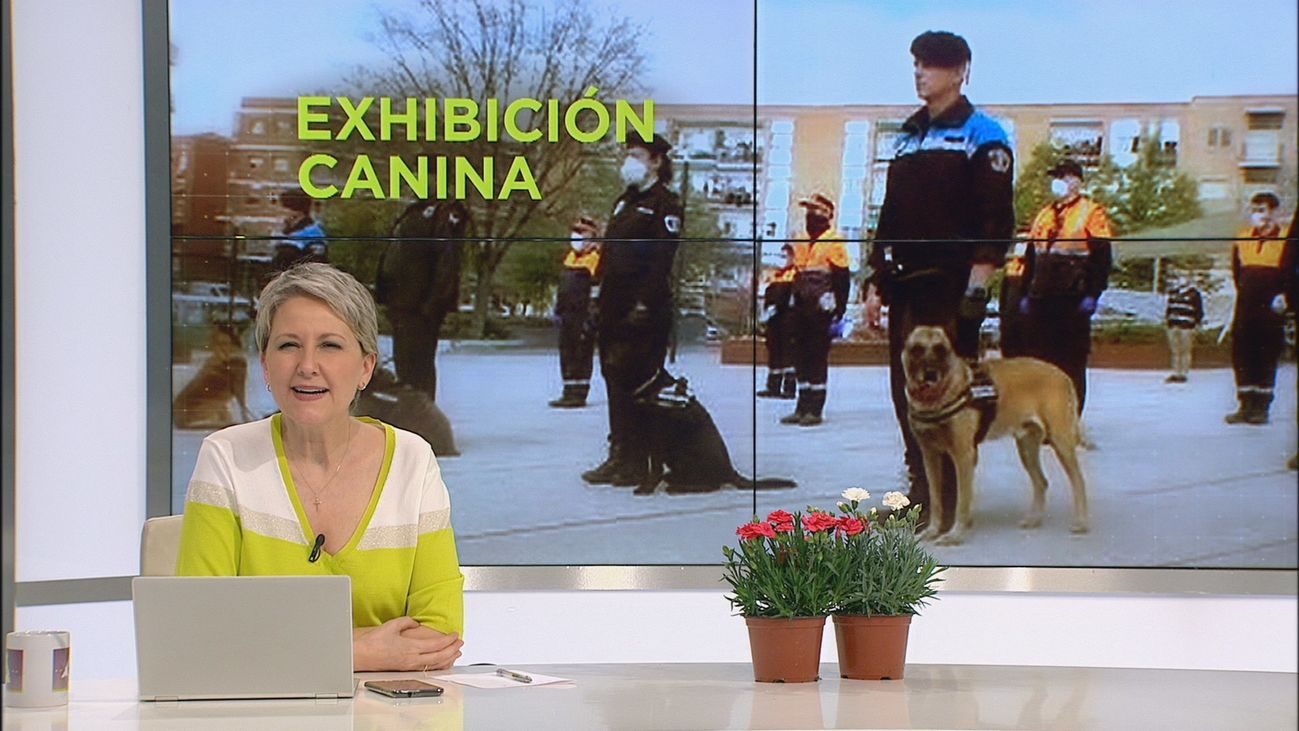 Madrid Directo 2 08.04.2020