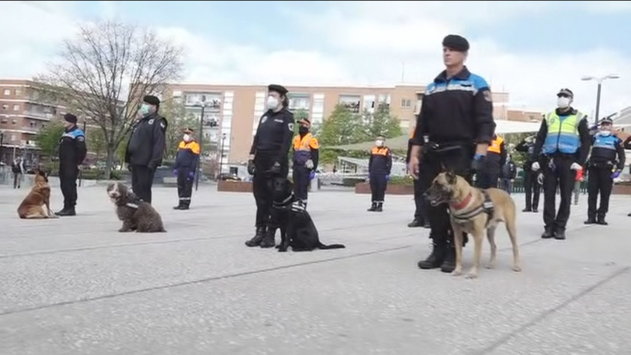Exhibición canina sorpresa en Alcobendas