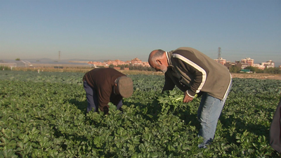 La Comunidad pone en marcha un plan de choque para agricultores y ganaderos