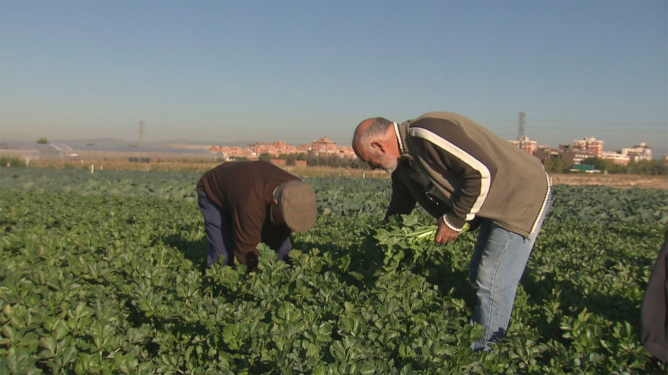 La Comunidad pone en marcha un plan de choque para agricultores y ganaderos