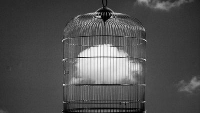 Los mejores fotógrafos españoles de forma virtual en nuestra casa