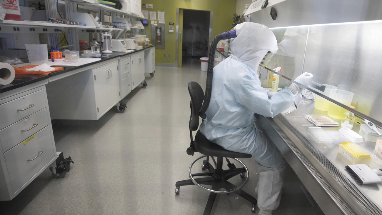 ¿Habrá repunte en otoño?