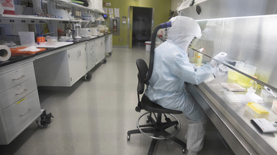 ¿Habrá repunte en otoño?