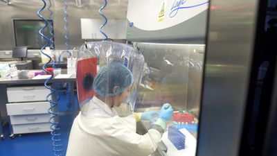 Wuhan revisa la cifra de muertes y añade 1.290, un 50% más de las anunciadas