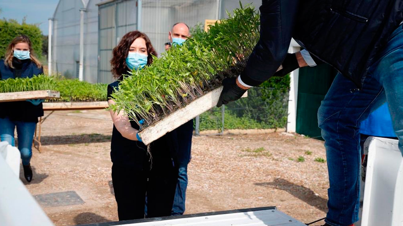 La Comunidad de Madrid dona 450.000 plantones a agricultores madrileños