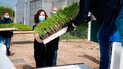 La Comunidad de Madrid dona 450.000 plantones a agricultores madrileños