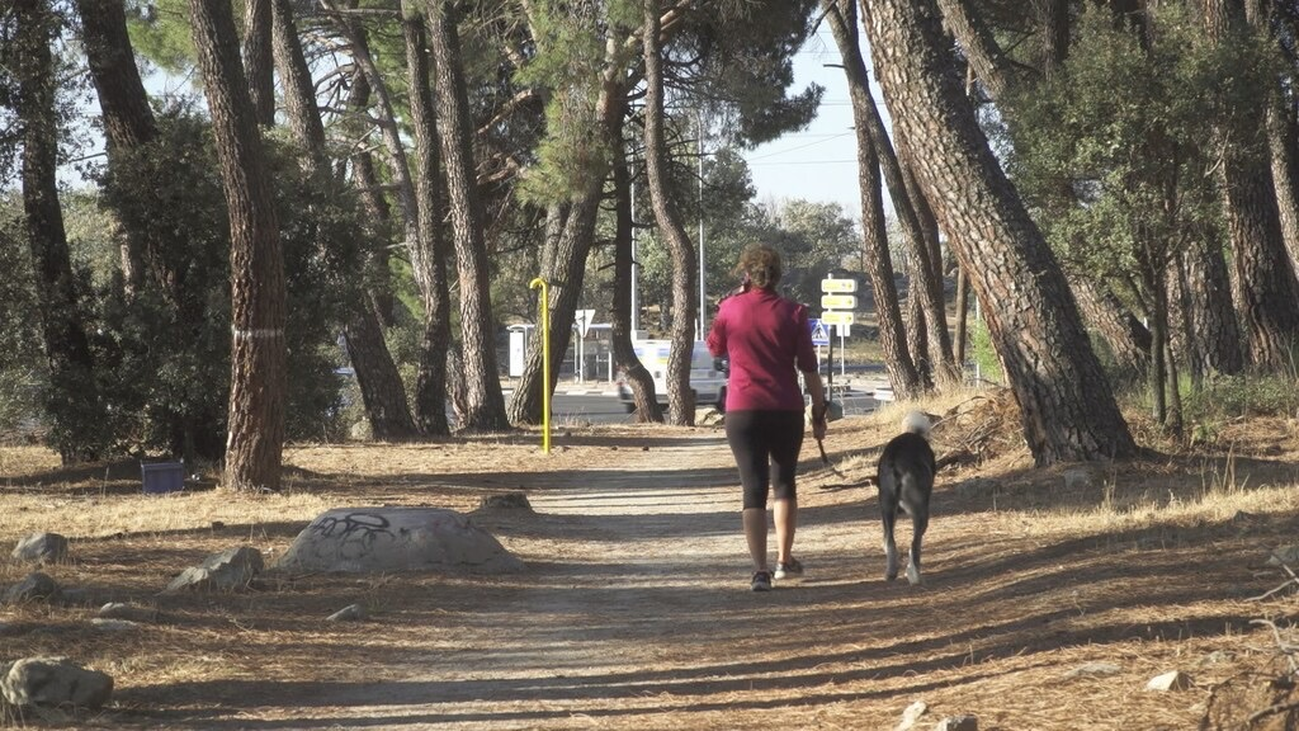 Insultada una vecina de Madrid cuando pasea al perro acompañada de su hija de dos años