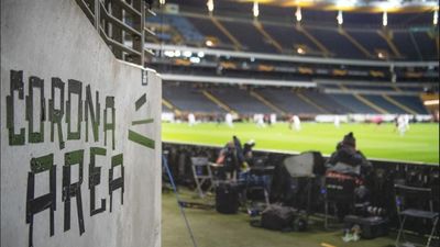 El CSD regulará la asistencia de público a los estadios