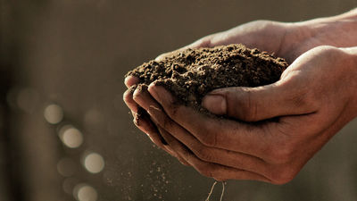 Alcalá invita a sus vecinos a crear composteras caseras para cuidar del medio ambiente