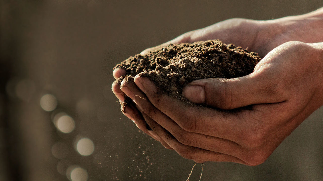 El Ayuntamiento de Alcalá invita a participar en una actividad para concienciar sobre la conservación del medio ambiente