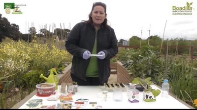 Boadilla enseña cómo sembrar en casa durante el confinamiento