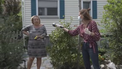 De cuarentena... ¡En un camping!