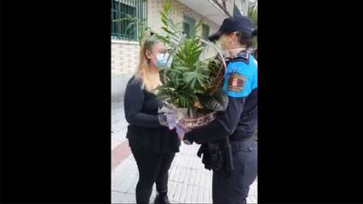 La Policía de Alcorcón homenajea a una sanitaria que sufrió la ira de un vecino
