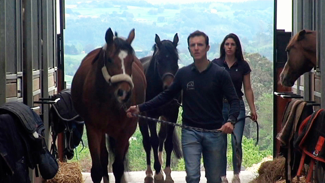 Las hípicas cuidan de los caballos sin tener ingresos y se ven abocadas a la ruina