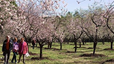 Madrid reabre parcialmente este sábado cuatro parques tras el paso de Filomena