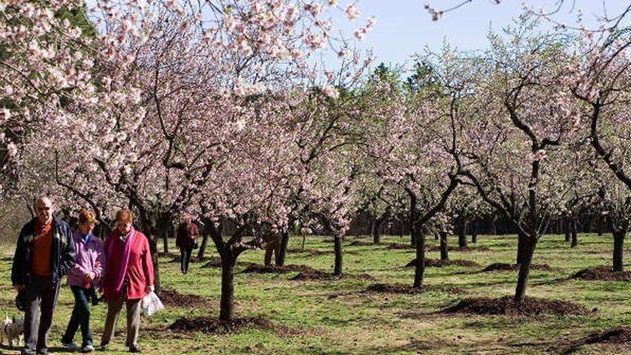 Madrid reabre parcialmente este sábado cuatro parques tras el paso de Filomena