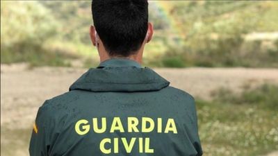 Detenidos dos hermanos en Las Rozas por robar cinco coches e incendiar otro