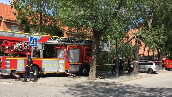 Caída de una rama en Valdemoro / @policiavaldemoro
