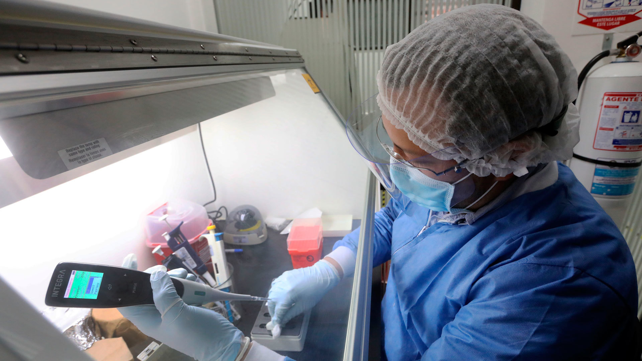 ¿Las dimensiones del coronavirus ayuda a que se investigue antes?