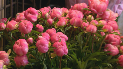 Las floristerías salvan el Día de la Madre con los pedidos online