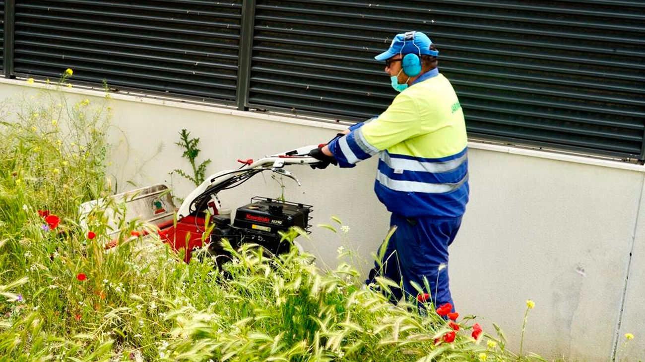 Móstoles retoma la siega y otras labores de mantenimiento de las zonas verdes de la ciudad