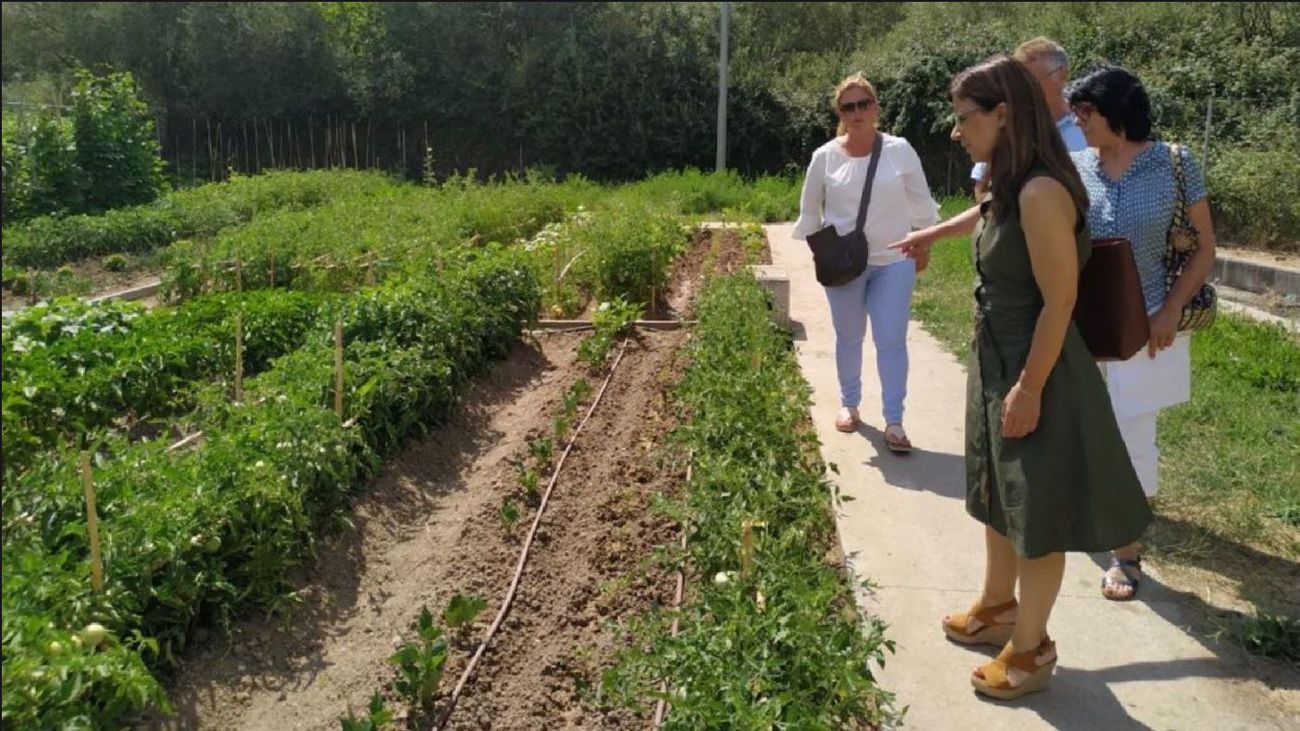 Huertos urbanos de San Sebastián de los Reyes