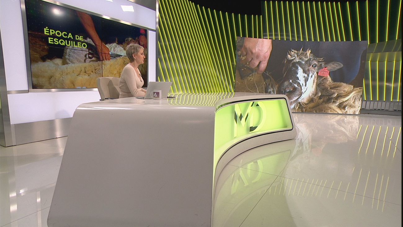 Madrid Directo 1 06.05.2020