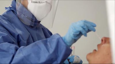 España tendrá en octubre un test portátil del coronavirus "rápido, sencillo y muy fiable"