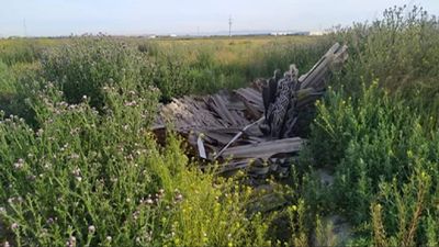 Ecologistas critican que siguen vertiendo "sin control"  lodos de aguas residuales en los alrededores de Pinto