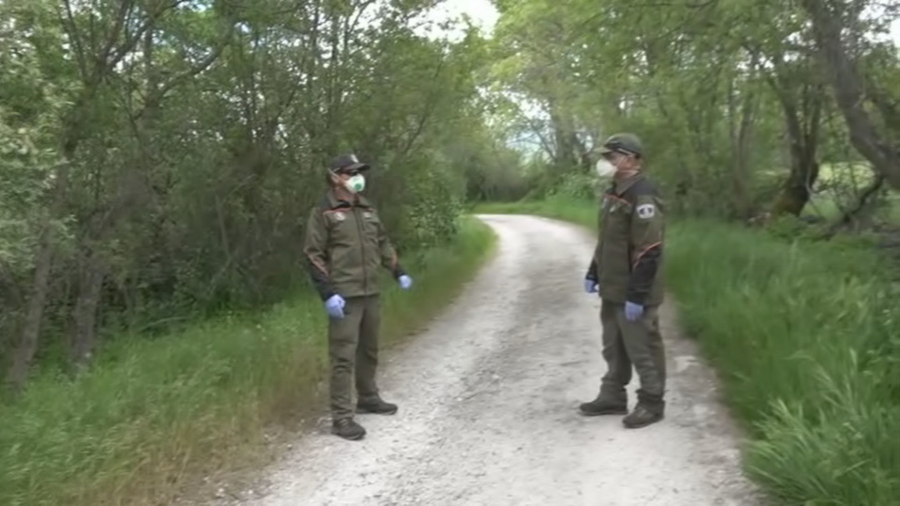 Los Agentes Forestales vigilan posibles infractores en la Sierra
