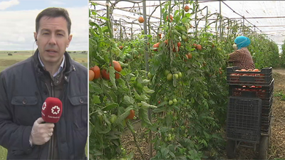 Miles de madrileños buscan trabajo en el campo