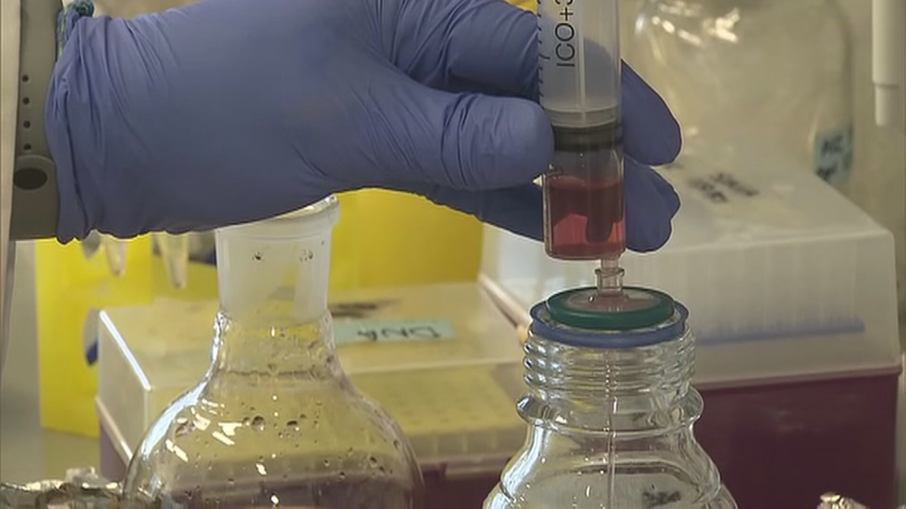 Madrid aumenta a 15.000 las pruebas PCR y contrata a más de 1.000 profesionales sanitarios