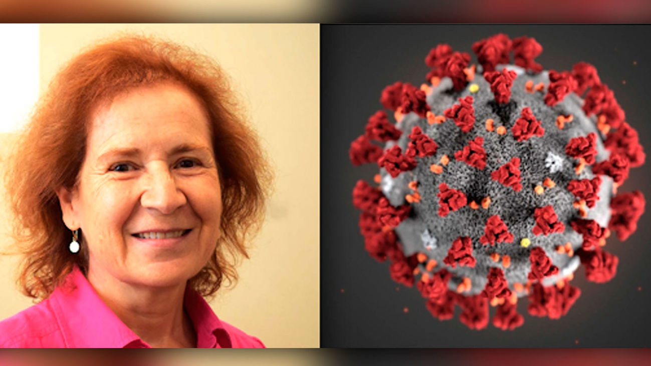 Margarita del Val: "El segundo confinamiento tiene que ser más selectivo"