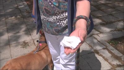 Un perro ingiere una salchicha con clavos, en Villa de  Vallecas