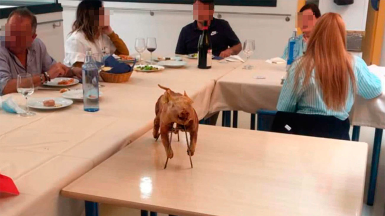 La Comunidad de Madrid abre investigación por una fiesta en una residencia en Móstoles