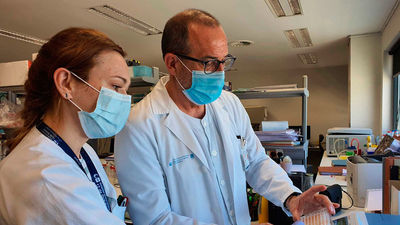 El 12 de Octubre participa en el estudio de la OMS para validar un test de anticuerpos de Covid-19