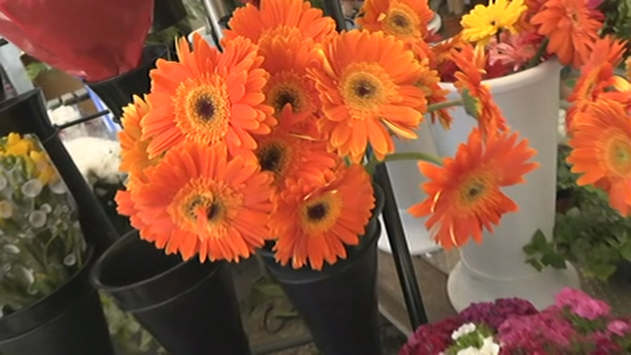 Vuelven los floristas de Tirso de Molina