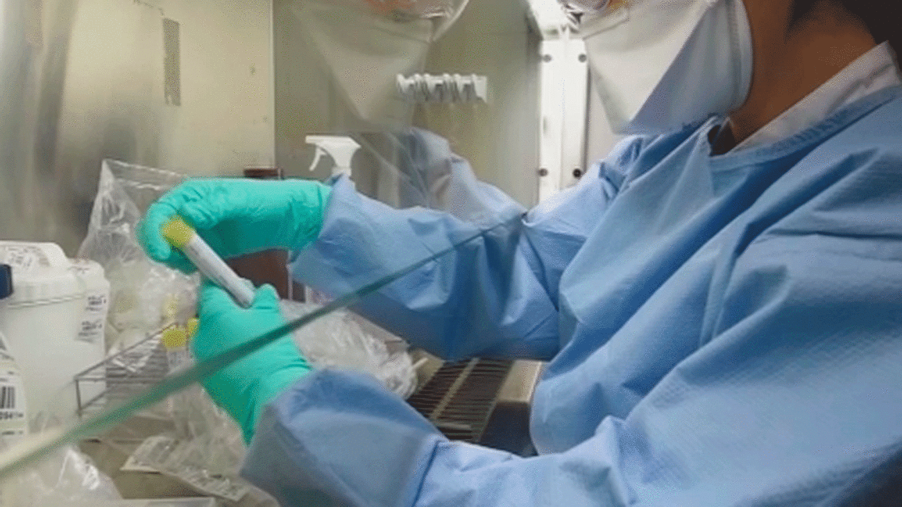 Investigan una posible mutación del coronavirus en China