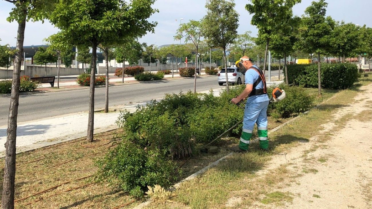 Colmenar Viejo notifica a los propietarios de parcelas la obligación de desbrozarlas y mantenerlas limpias