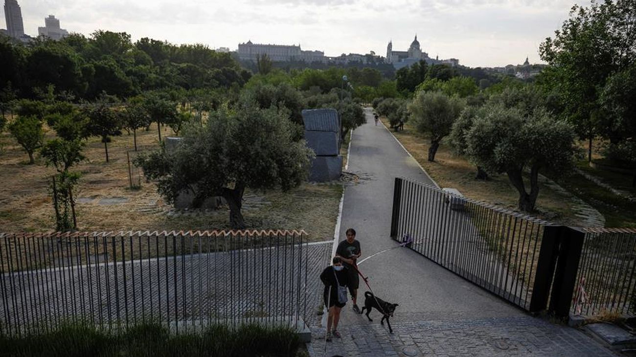 La Casa de Campo vuelve a lucir tras el desastre provocado por la nevada Filomena