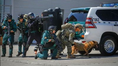 Caen dos bandas que robaban tiendas y naves en diez municipios de Madrid durante el estado de alarma