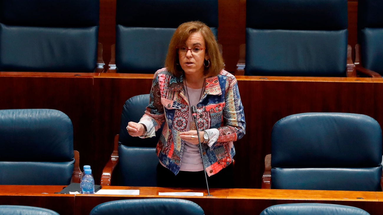 La diputada del PSOE, Purificación Causapié, durante una intervención en la Asamblea de Madrid
