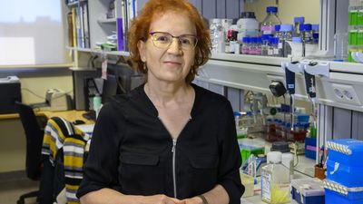 Margarita del Val, viróloga del CSIC: "No descartemos que quien haya desarrollado anticuerpos siga contagiando"